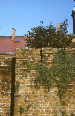 Ostatni świadek – fotografia „Słupskiego Szaszłyka” grafika